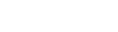 DewX IT Solutions Logo